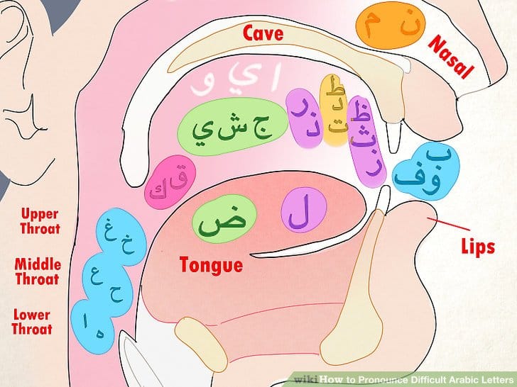 Arabic Pronunciation for Beginners: 10 Sounds English Speakers Often Find Difficult
